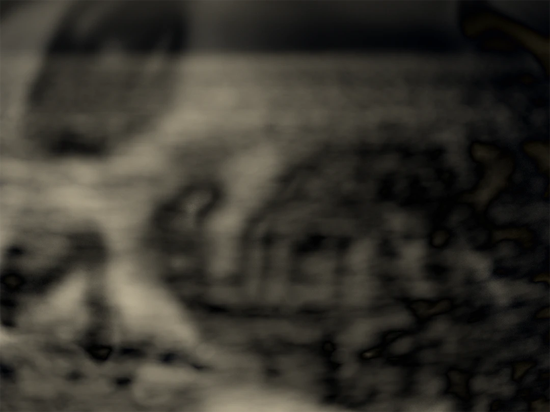 Ebb_still