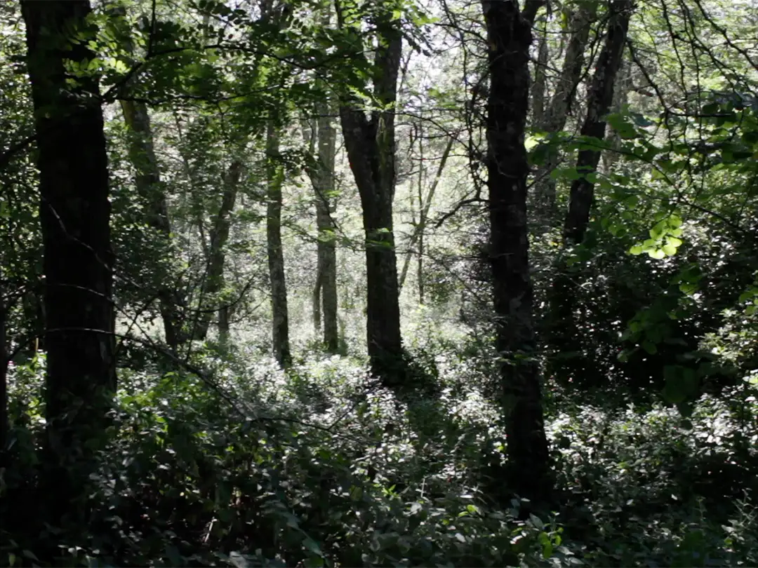MontesClaros_still