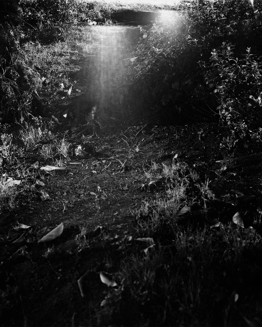 Dark Day