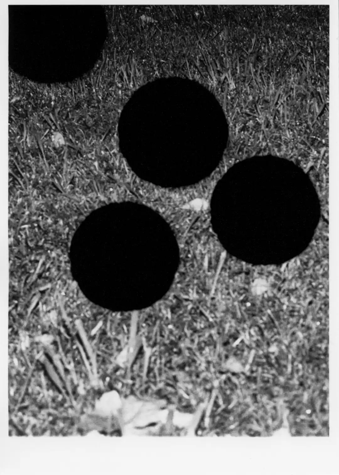 Prints
