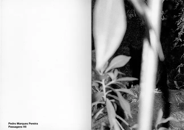 Zine_Spread